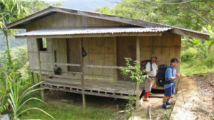 Shack in Jungle with Borneo