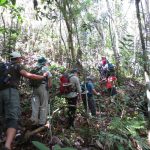 Borneo Travel Jungle Tours