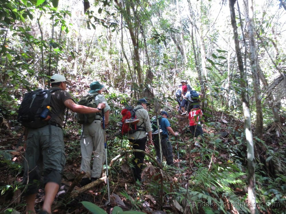 Borneo Travel Jungle Tours