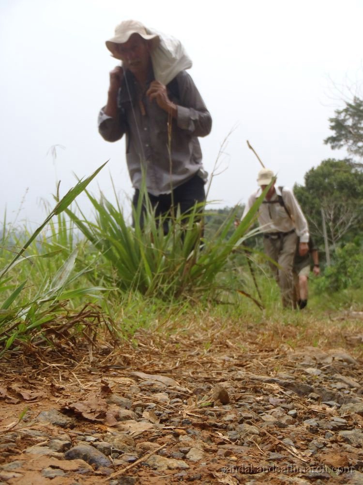 borneo trekking